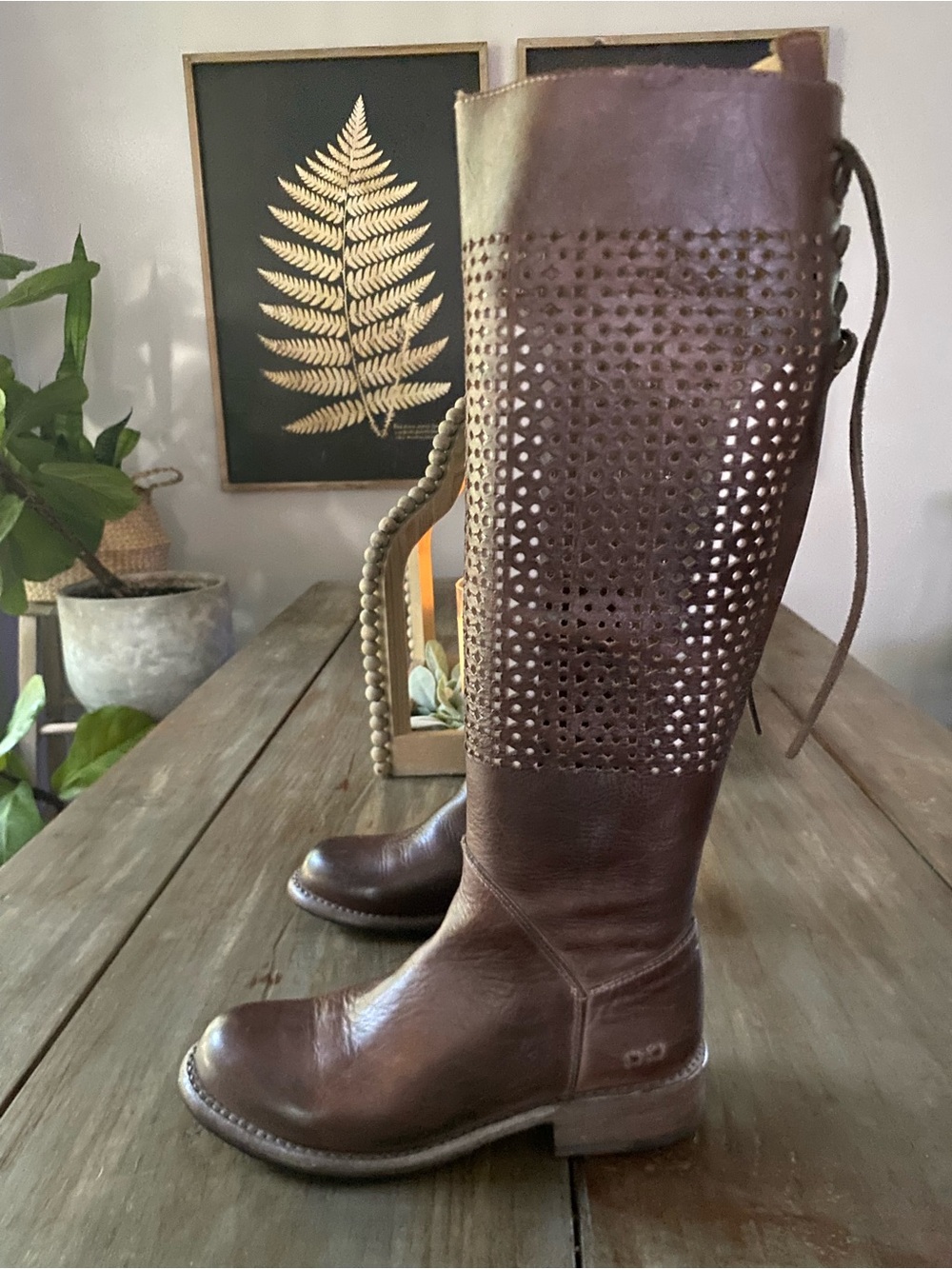 Bed Stu Cambridge Perforated Leather Zip Lace Up Tall Moto Boots Women 6.5 Brown